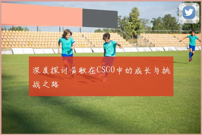 深度探讨黄敏在CSGO中的成长与挑战之路