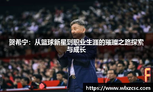 贺希宁：从篮球新星到职业生涯的璀璨之路探索与成长