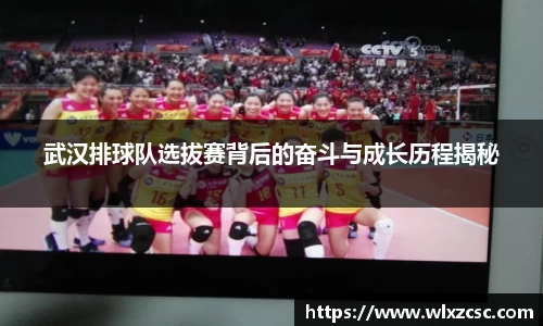 熊猫体育app