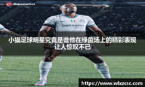 小猫足球明星究竟是谁他在绿茵场上的精彩表现让人惊叹不已