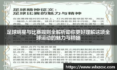 足球明星与比赛规则全解析助你更好理解这项全球运动的魅力与精髓